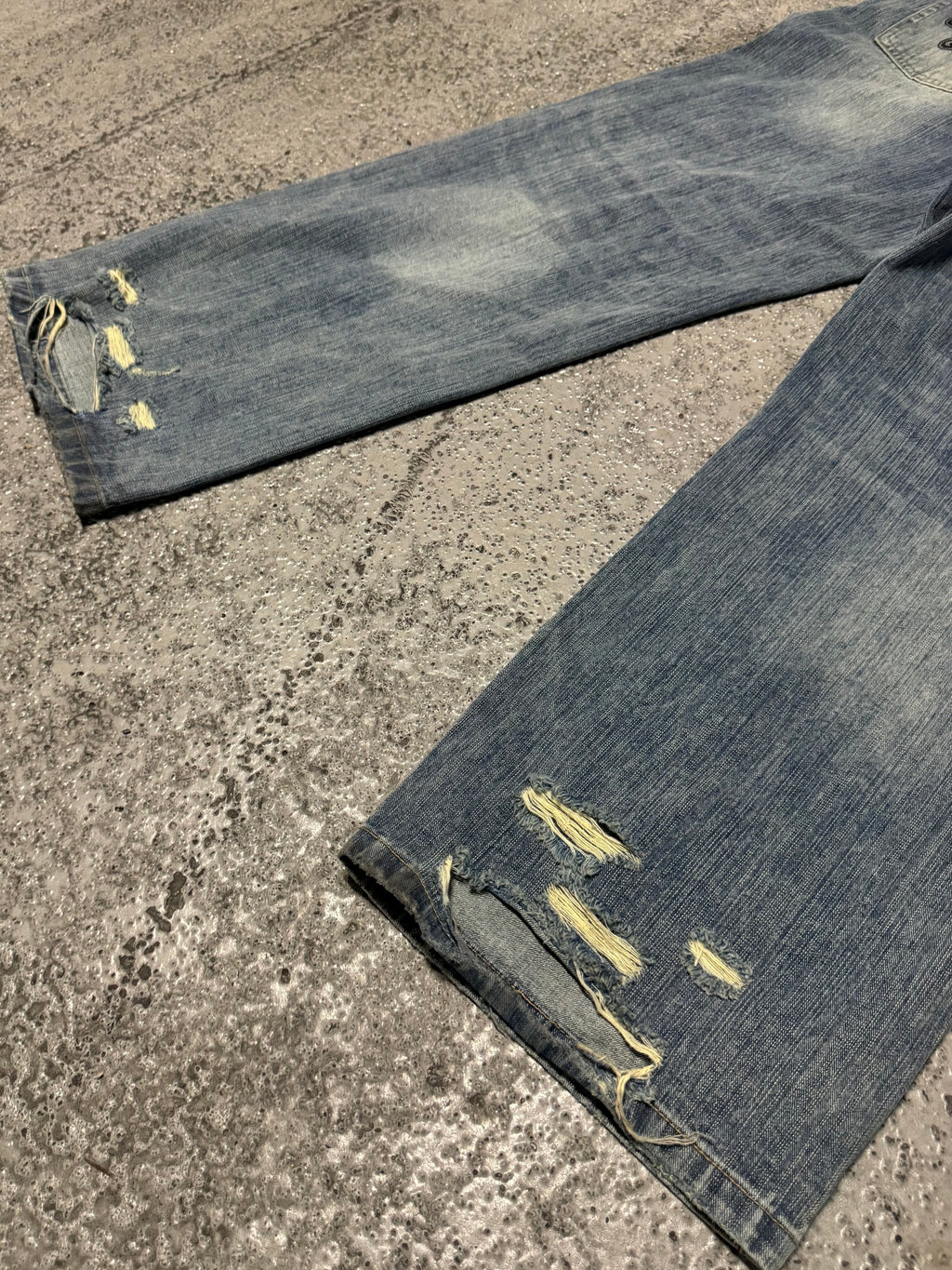 Signature Distressed Baggy Jeans